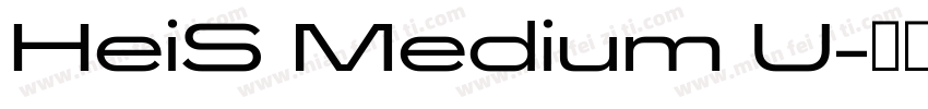 HeiS Medium U字体转换